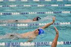 Swimming & Diving vs RWU  Swimming & Diving vs Roger Williams University. - Photo by Keith Nordstrom : Wheaton, Swimming